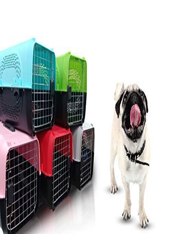 Pups&Pets Pet Travel Carrier Dog Cat Rabbit Basket Plastic Handle Hinged Door Folding Collapsible Transport Box Crate Cage Size 19.5 x 13 x 12.5 Inch for Puppy Cats (1 Pcs Pack) - Image 1
